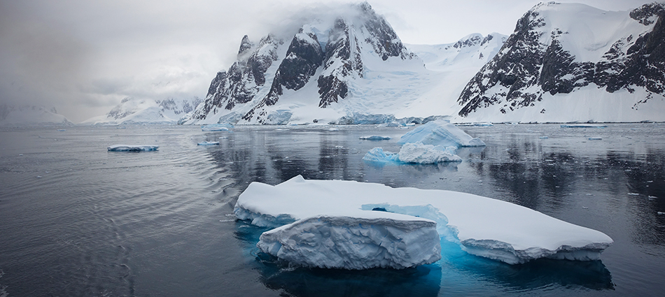 Antarctica: slideshow image 3