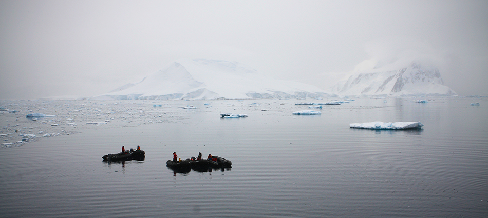 Antarctica: slideshow image 4